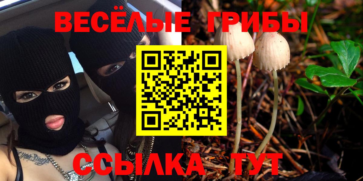 Псилоцибиновые грибы ЛСД  Вход с VPN  Октябрьский  Псилоцибиновые грибы GOLDEN TEACHER 